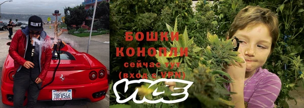 крисы Алзамай