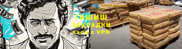 крисы Алзамай