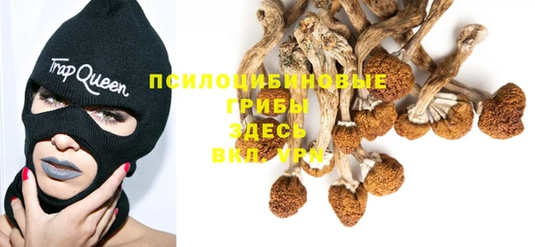 spice Алексеевка